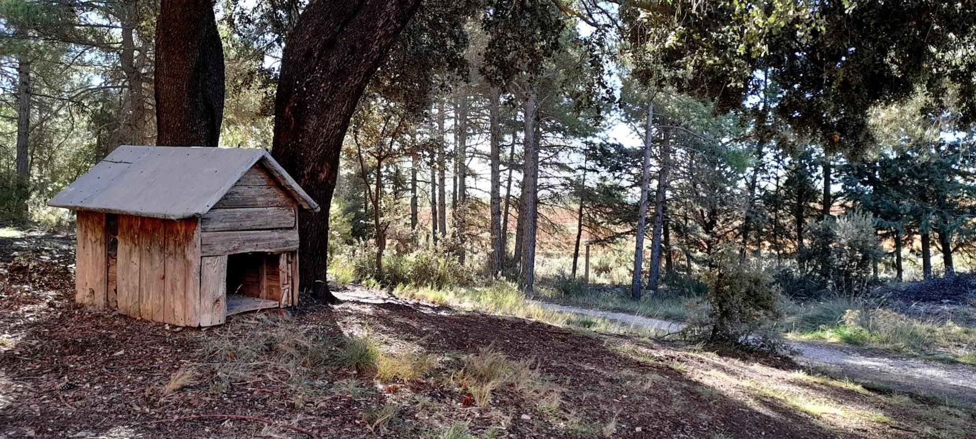 Sanz Holiday home