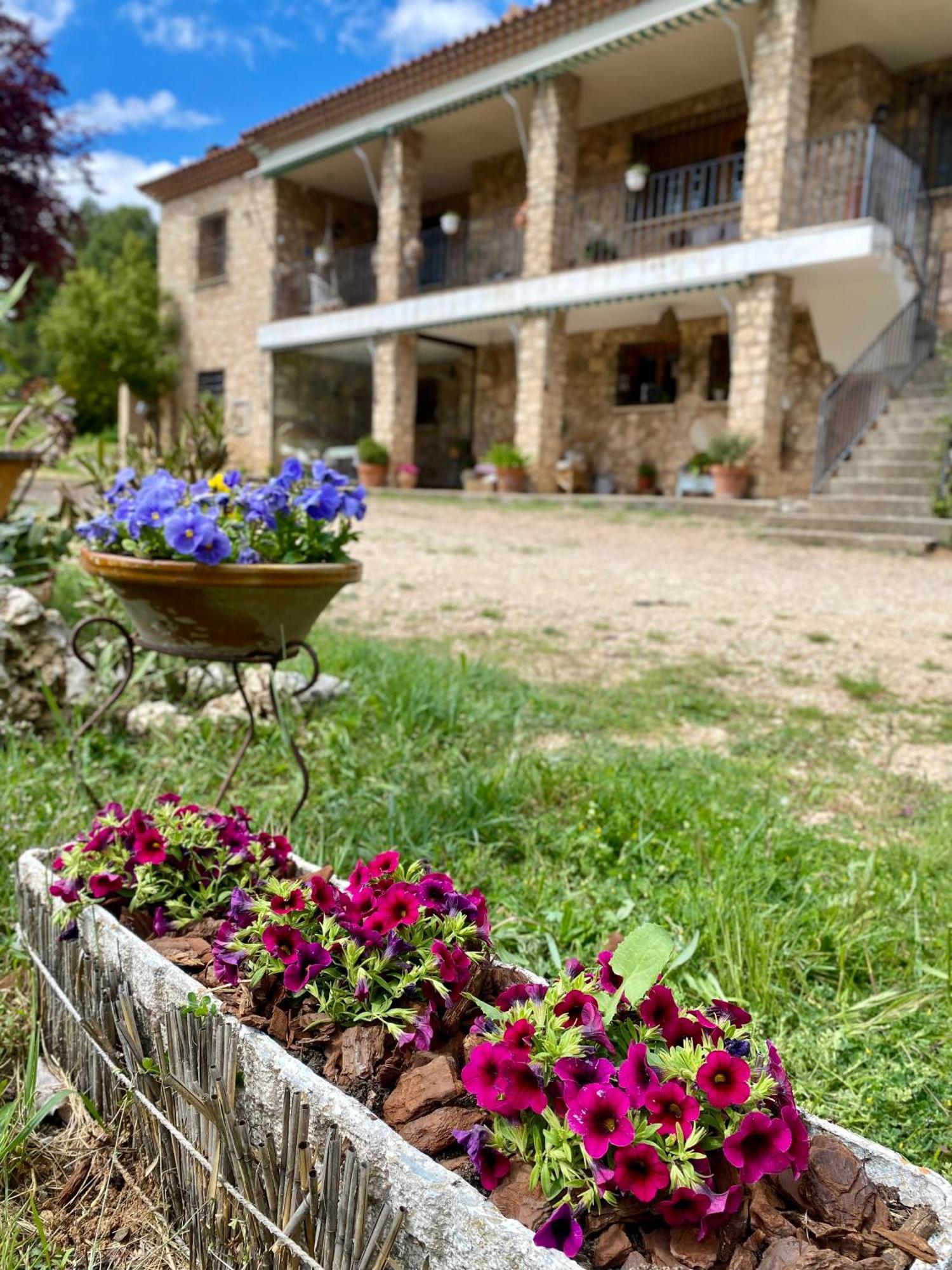 Sanz Holiday home